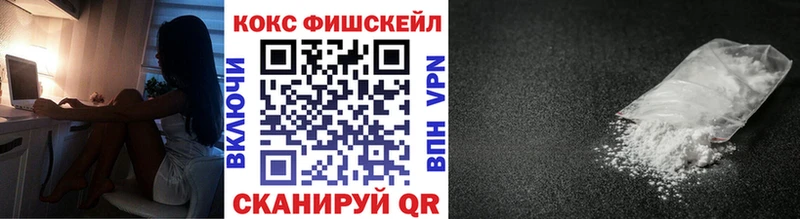 купить закладку Камызяк Кокаин Fish Scale