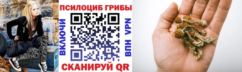 Псилоцибиновые грибы мицелий  купить наркоту  Камызяк 