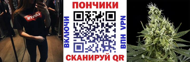 Конопля план  купить   Камызяк 